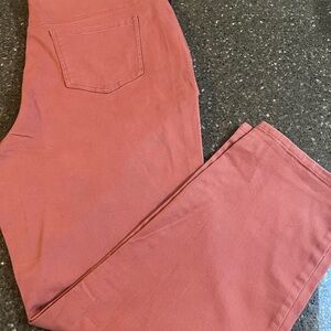 Gloria Vanderbilt Women's Terracotta Amanda Straight Leg Jeans Size 22W Long NWT